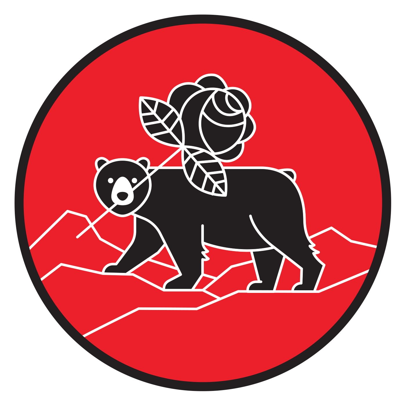 Asheville DSA